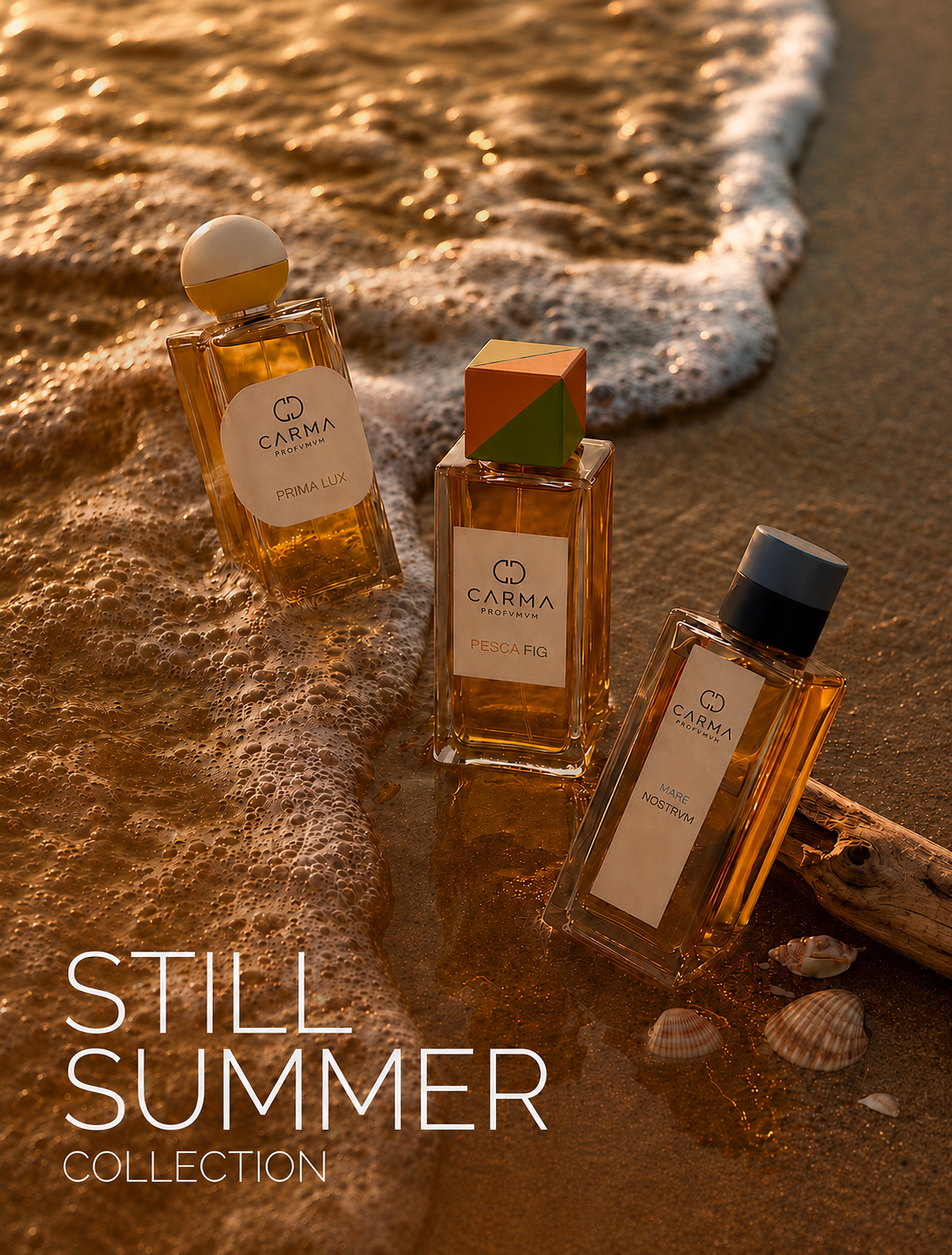 Discovery Set - STILL SUMMER COLLECTION